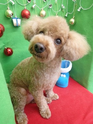 『なんかそっちから音が!』