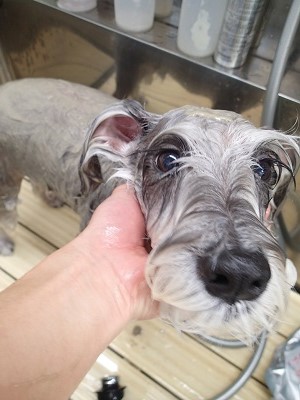 『ん~、気持ちいい♪』