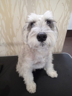 『今日はパックがどうとか…』