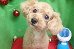 『可愛くしてもらいました♪』