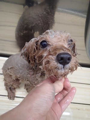 『パックってこんなに気持ちいいんだ~♪』