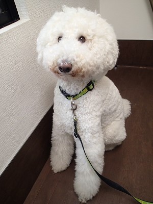 『久しぶりで緊張しちゃうな。』