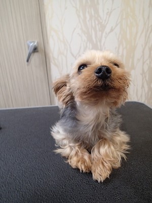 『寒いから長めにしてね！』