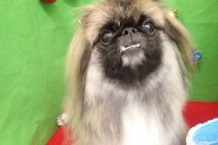 『ツヤっとしてふわっとして最高♪』