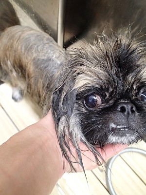 『みんなやればいいのになー♪』