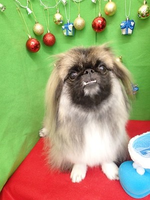 『ツヤっとしてふわっとして最高♪』