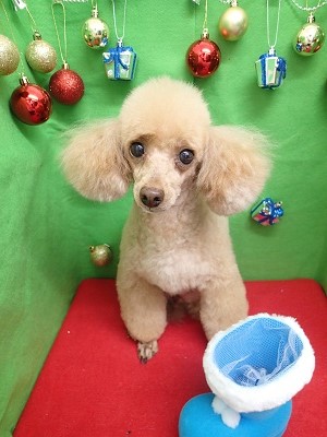 『スッキリ☆今日も頑張ったわ!』