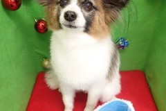 『気持ちよかったー♪』