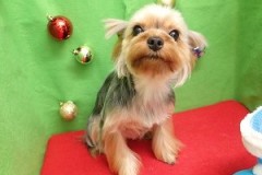 『スッキリしました！』