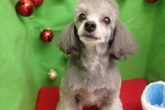 『これくらいだと楽だよね♪』