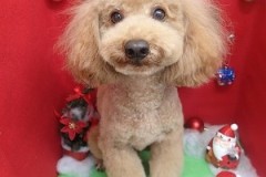 『すっきりしたーー！！』