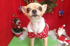 『サッパリしました！』