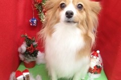 『お尻もキュートにしてもらえました♪』