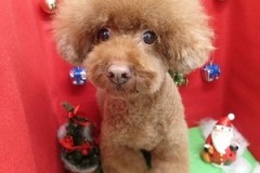 『いつもよりほほスッキリ！軽くなったなー』