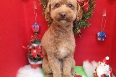 『どぉ？かっこよくなった？』