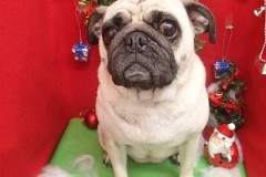 『今年もサラサラで過ごせました☆』