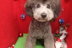 『スッキリかっこよくしてもらったよ！』