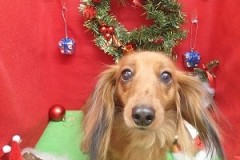 『サラサラになりました☆』