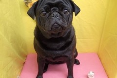 『スッキリしましたー！！』