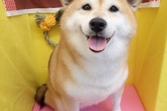 『サラサラにしてもらいました！！』