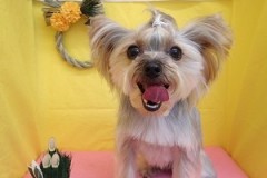 『これでプレイルーム行っていいんだよね？』