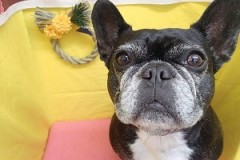 『今年も一年ご利用ありがとうございました！』