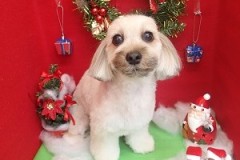 『すっきりしました☆』