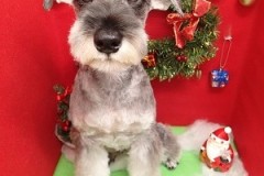 『いつもよりもキマってるでしょ？！』