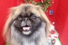 『今日もサラサラ☆』