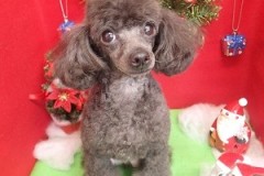 『えへ、可愛いでしょ？？』