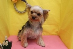 『タロくんと交代ね！』