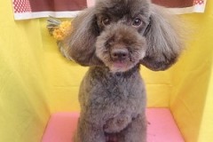 『ボクのお話通じた？』