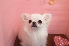 『首回りサッパリ☆』