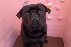 『おやつくれるの？？』