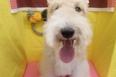 『この白さですよ！！』