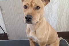 『ツヤツヤですね。』