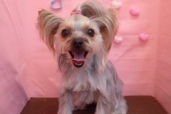 『お顔もスッキリ！気分爽快☆』