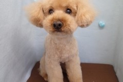 『ふわふわなのにスッキリ☆』