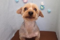 『頑張りましたー！』