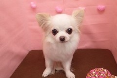 『緊張したけど頑張りました！』