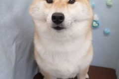 『結構抜いてもらったよね！』