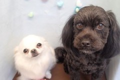 『』サッパリしました～♪