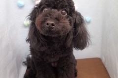 『お母さんと一緒にいれば安心～』