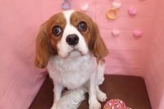 『サッパリしました♪』