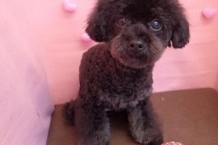 『フワッフワ♪お迎えまで何して遊ぼっかな♪』