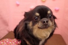 『すっごい頑張ったでしょ？！』