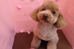 『可愛くしてもらったー♪』