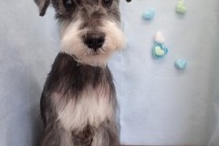 『可愛くしてもらったわ♪』