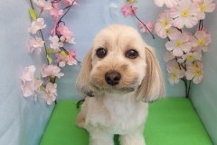 『スッキリしました♪』