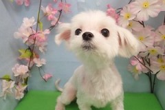 『さっぱりしたー！！』